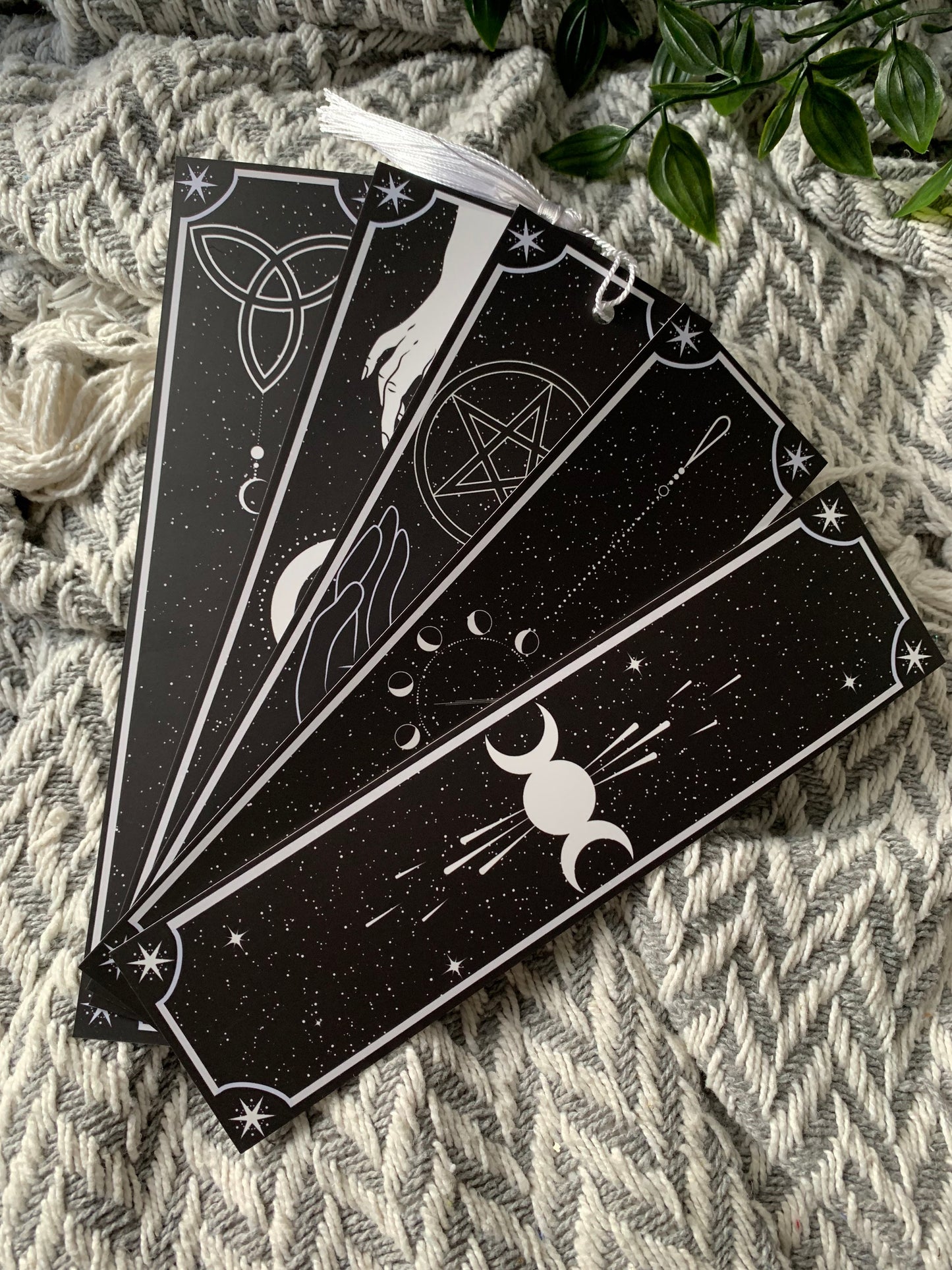 Witchy Collection